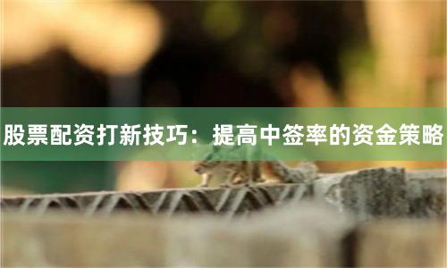 股票配资打新技巧：提高中签率的资金策略